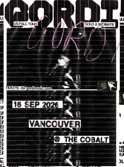 GORDI IS COMING TO THE COBALT