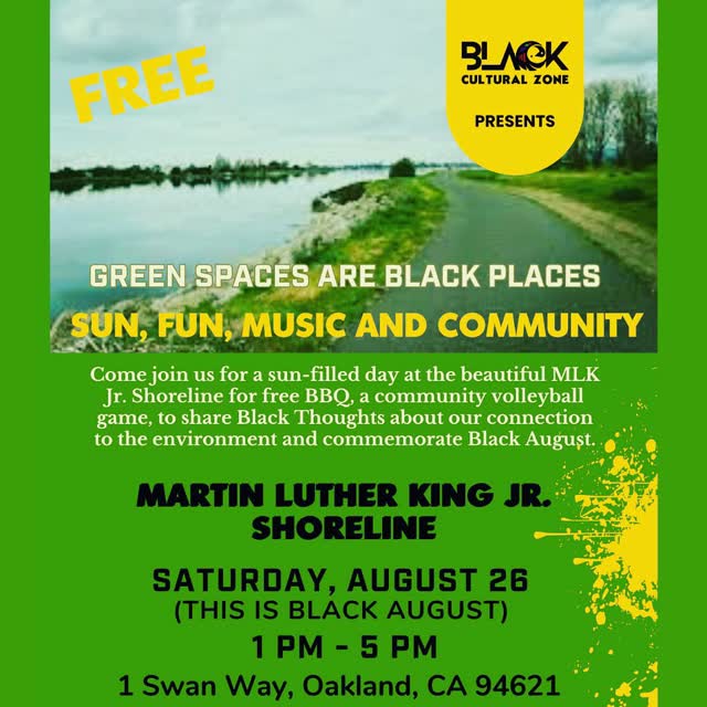 Green Spaces Are Black Places: Sun, Fun, Music and Community