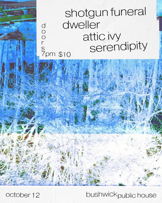 Show at Bushwick Public House with Shotgun Funeral, Attic Ivy, and Dweller