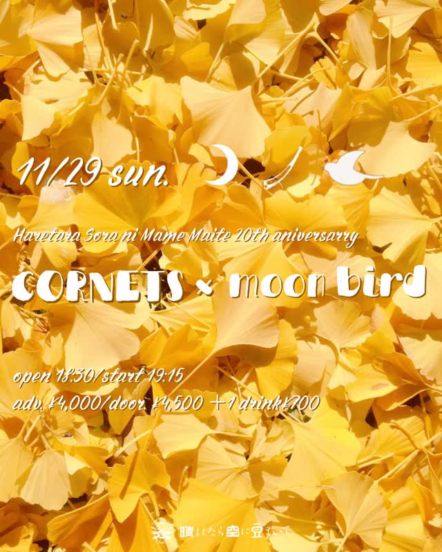 晴れたら空に豆まいて20周年記念 cornets × moon bird