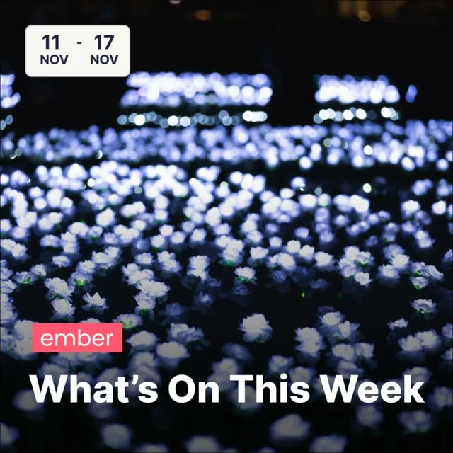 What's On This Week