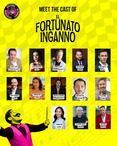 Il Fortunato Inganno (The Happy Deception)