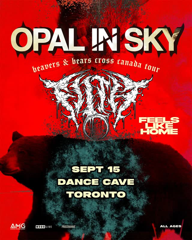 Beavers & Bears Cross Canada Tour
