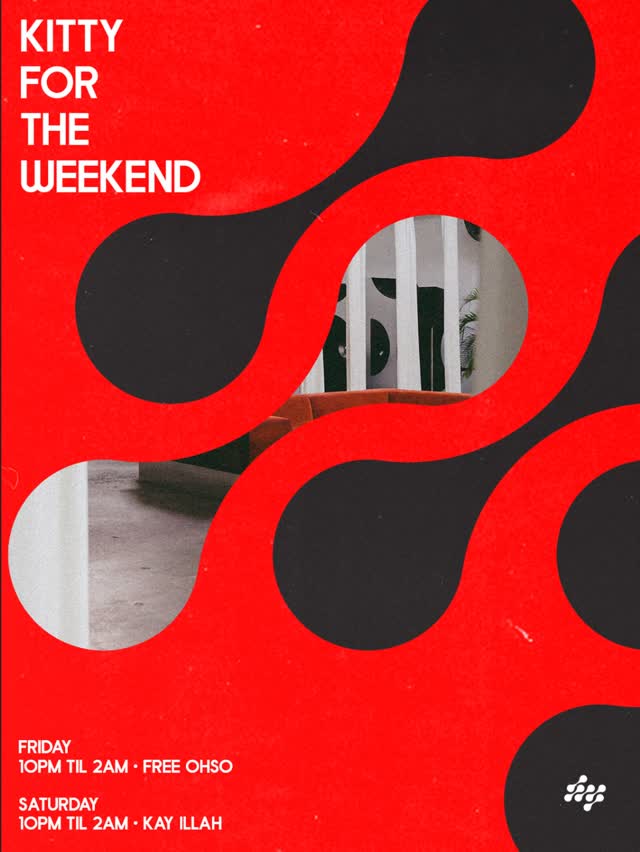 Kitty for the Weekend