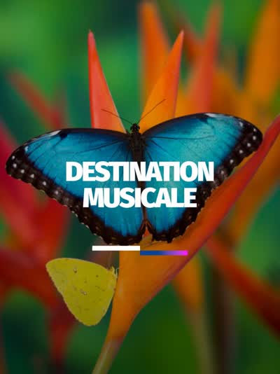 Destination Musicale – Escale 1 : Papillons de Robert Schumann