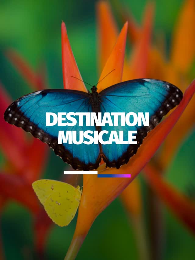 Destination Musicale – Escale 1 : Papillons de Robert Schumann