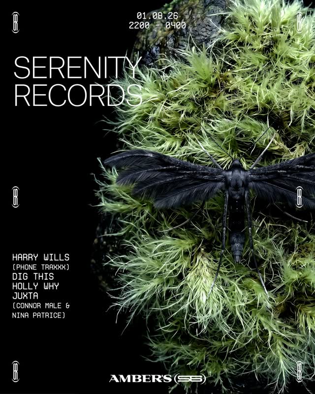 SERENITY RECORDS - HARRY WILLS, DIG THIS, HOLLY WHY, JUXTA