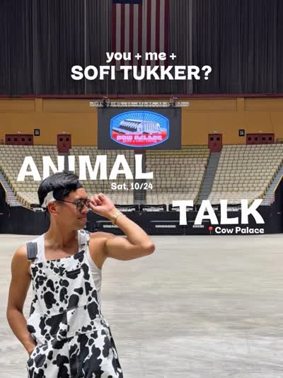 ANIMAL TALK