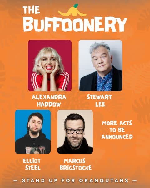 The Buffoonery