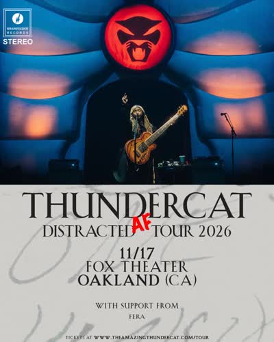 Thundercat returns to the Fox