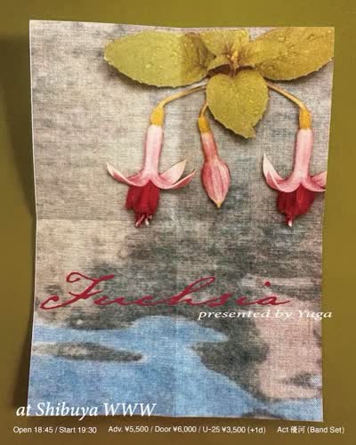 Fuchsia presented by Yuga