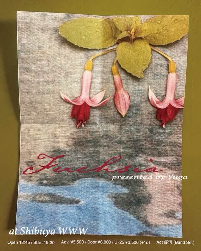 Fuchsia presented by Yuga