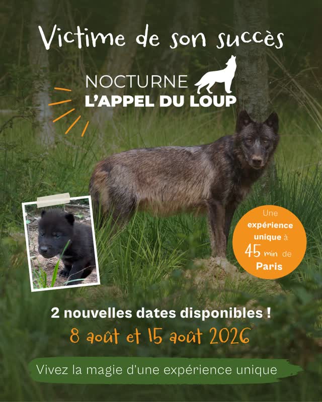 NOCTURNE L'APPEL DU LOUP