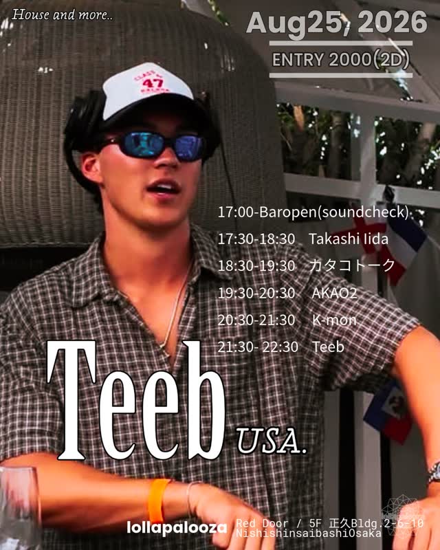 Teeb at Lollapalooza