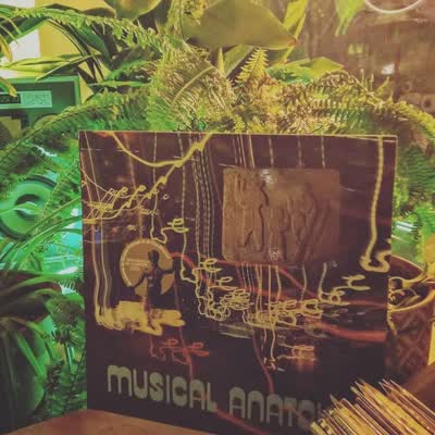 November's Wednesdays with George Rallis