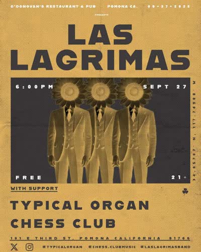 Live at O'Donovan's Pub with Typical Organ & Chess Club Music