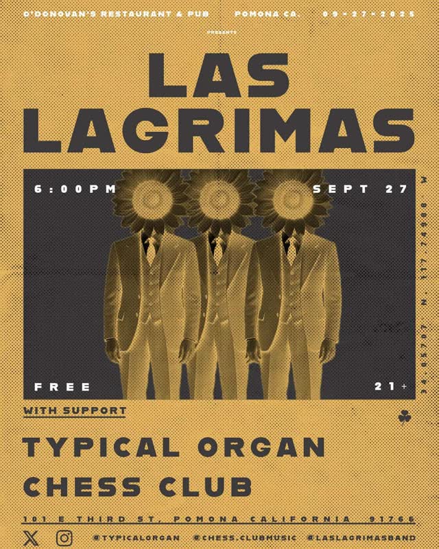 Live at O'Donovan's Pub with Typical Organ & Chess Club Music