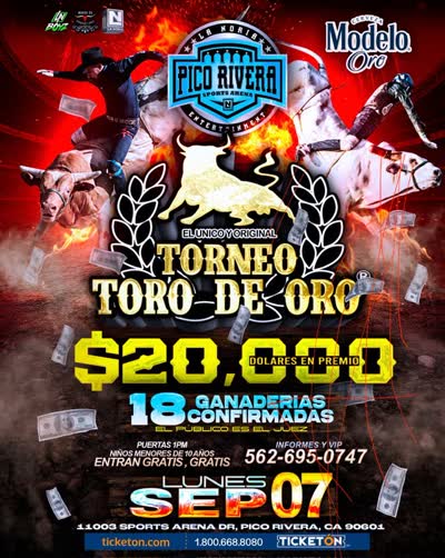 JARIPEO BAILE ...TORO DE ORO