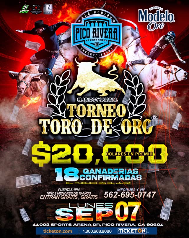JARIPEO BAILE ...TORO DE ORO