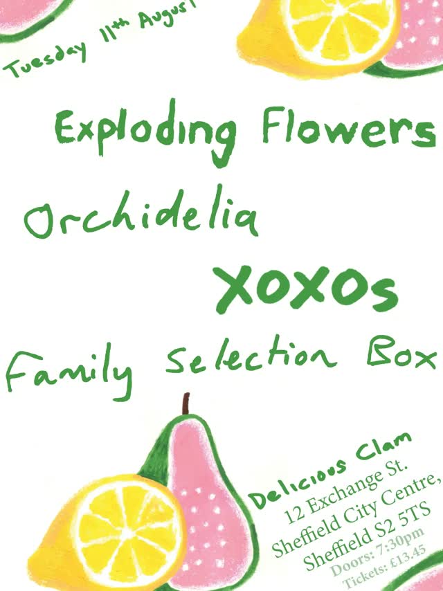 DC Presents: Exploding Flowers / Orchidelia / The Xoxos / Family Selection Box