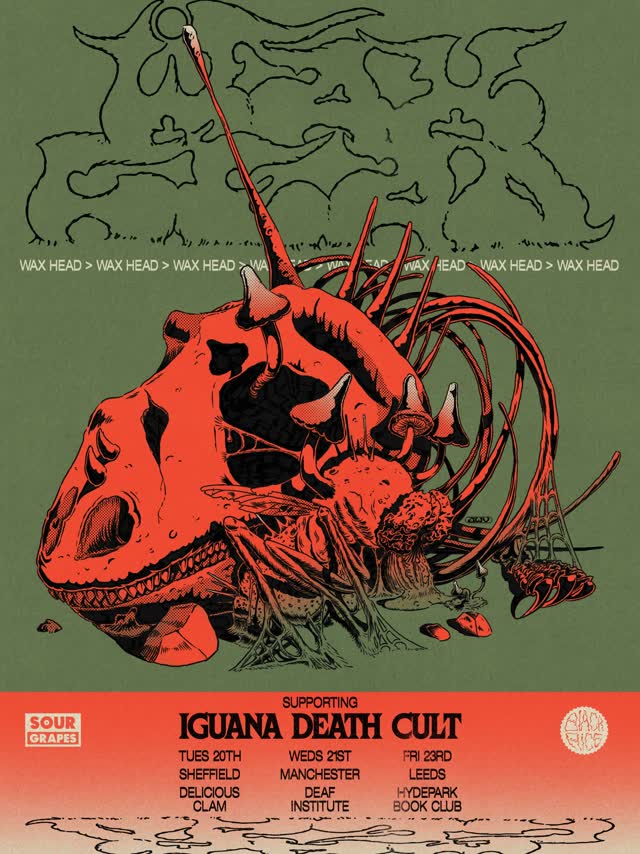 WAX HEAD supporting IGUANA DEATH CULT