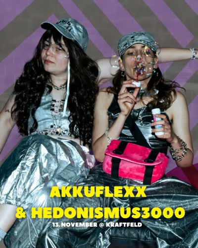 AKKUFLEXX & HEDONISMUS3000
