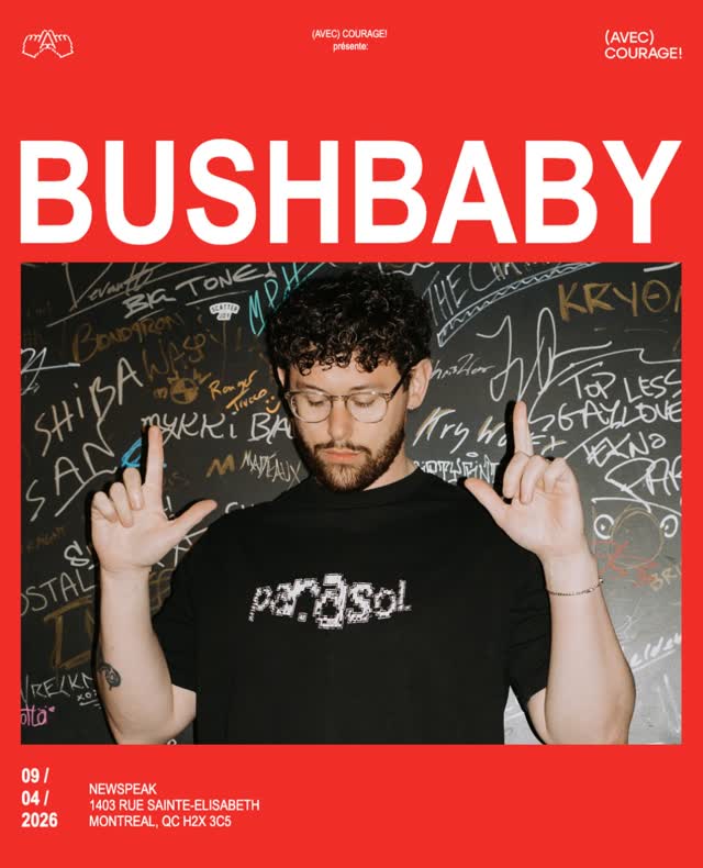 BUSHBABY