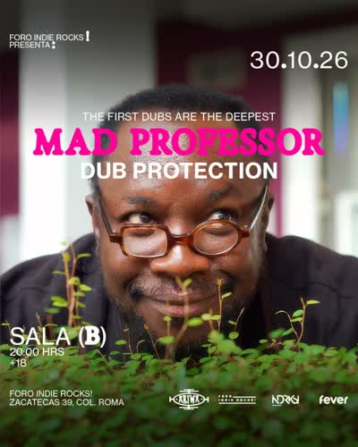 The First Dubs are the Deepest: Mad Professor presents DUB PROTECTION