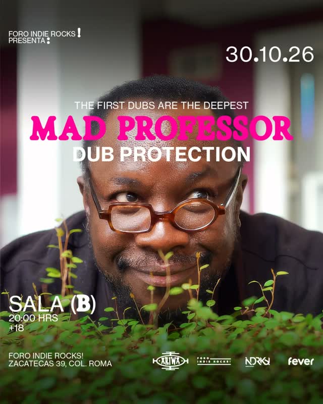 The First Dubs are the Deepest: Mad Professor presents DUB PROTECTION