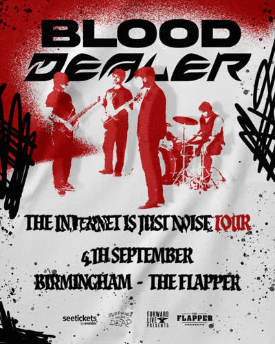 THE INTERNET IS JUST NOISE TOUR
