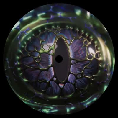 Neptune Discs turns 7 day party