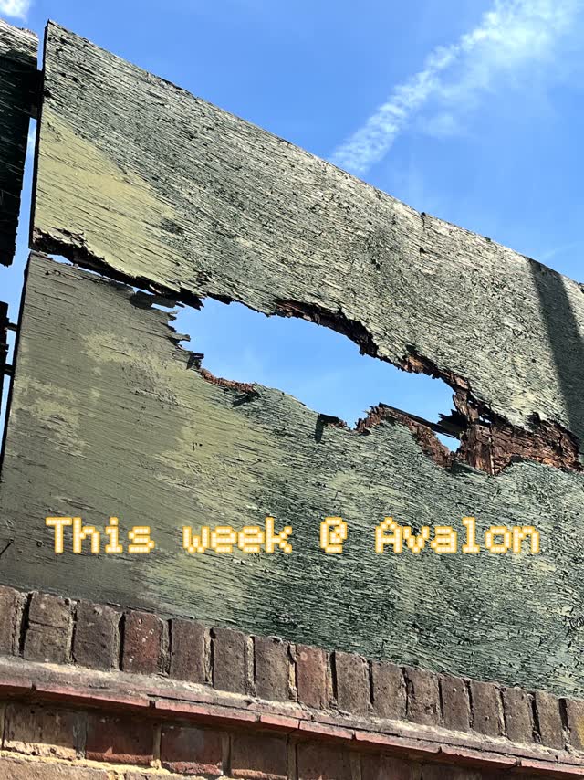 Weekly Events at Avalon Cafe (Choir, Drawing Club, Model Village, Unbound Earth, Shimmer 008, RALLY afterparty, Fresh n Fruity)