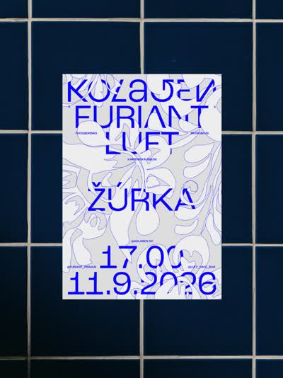 Žúrka