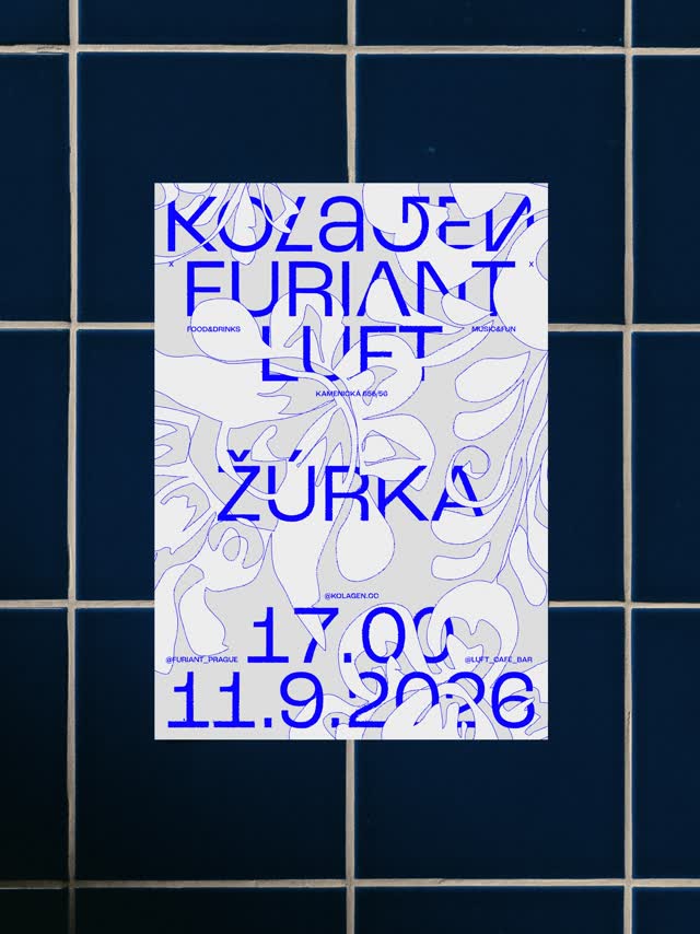 Žúrka