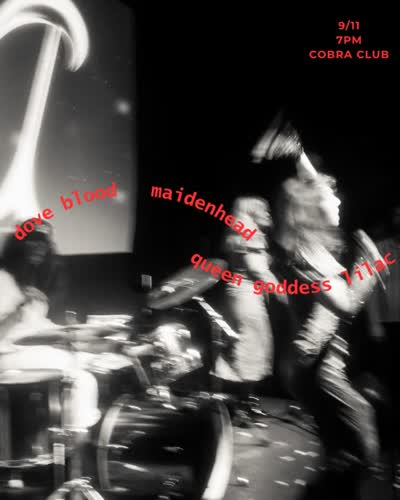 showtime maidenhead heads