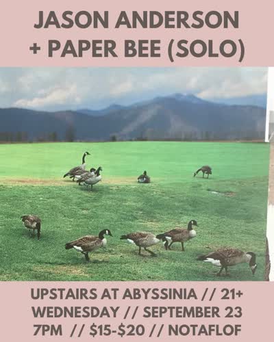 Jason Anderson + Paper Bee (Solo)