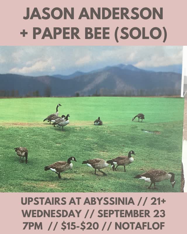 Jason Anderson + Paper Bee (Solo)