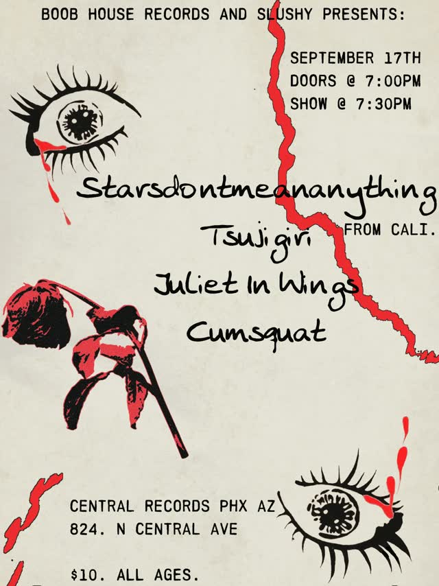 Boob House Records and Slushy Presents: Starsdontmeananything
