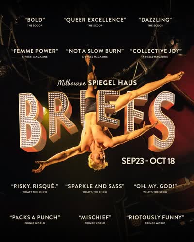 BRIEFS