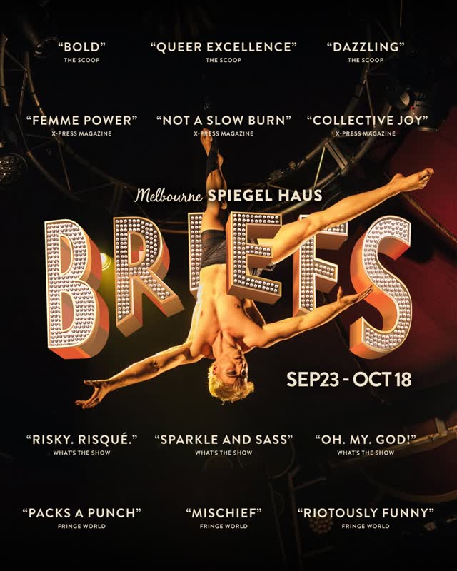 BRIEFS