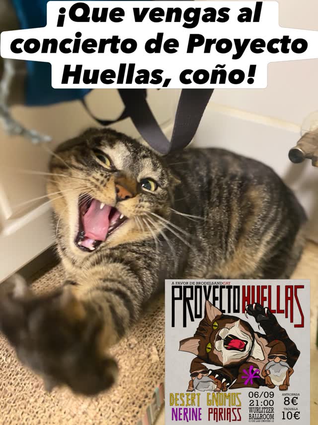 LEELLOO PRESENTA: CONCIERTO DE @proyectohuellas2023