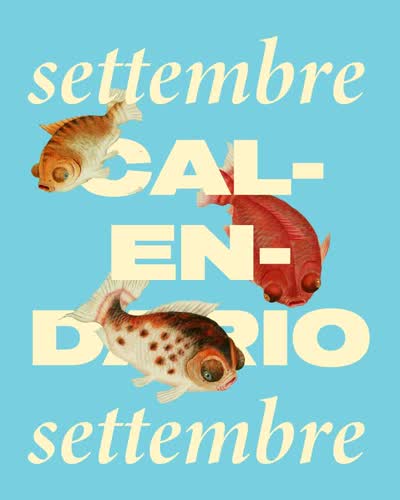IL MAPPAZZONE DI SETTEMBRE DI EXALGE