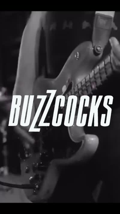 celebrating 50 Years of Buzzcocks – live in Chicago