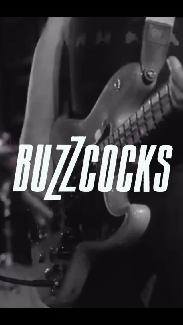 celebrating 50 Years of Buzzcocks – live in Chicago