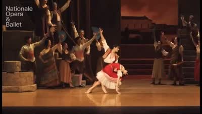 DON QUIXOTE