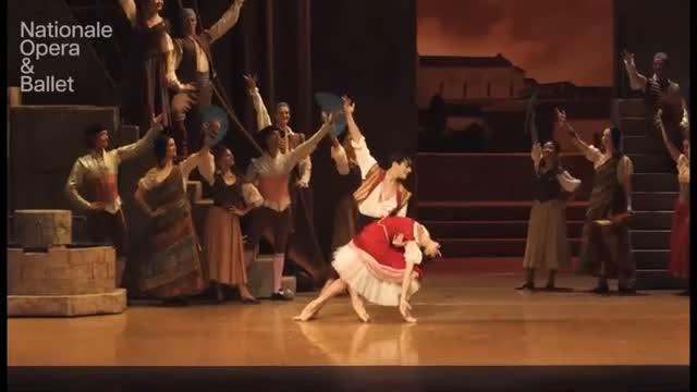 DON QUIXOTE
