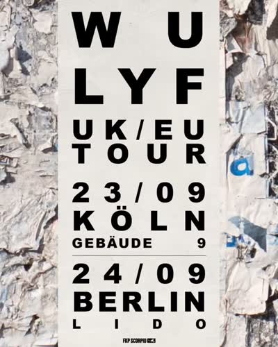 Live bei uns: Wu Lyf