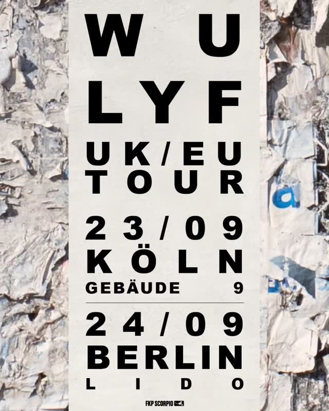 Live bei uns: Wu Lyf