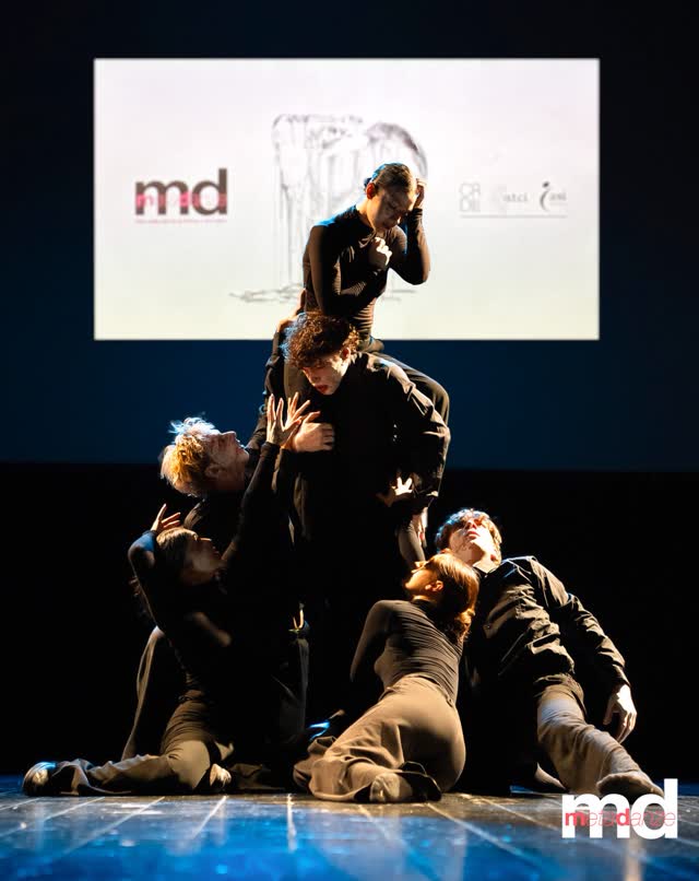 Emergenze Coreografiche - Call di Selezione MetaDanze