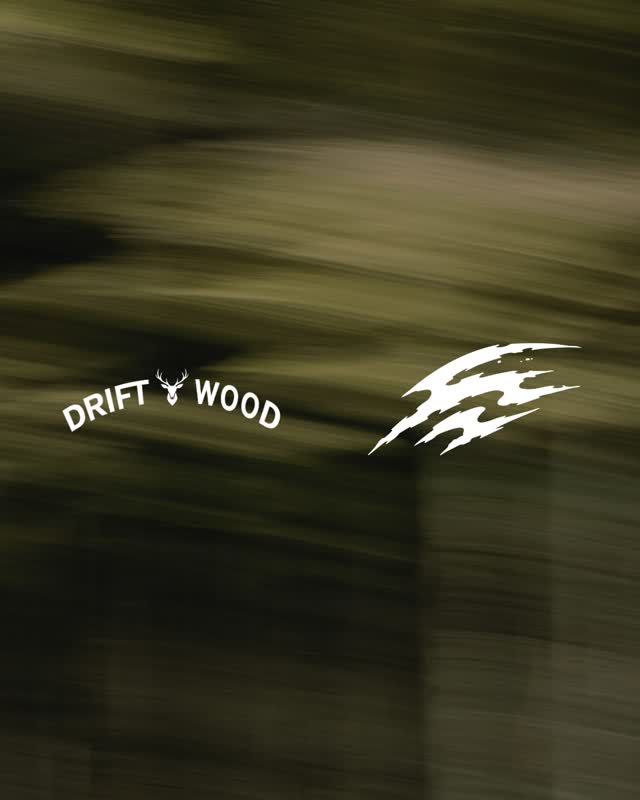 漂流木Driftwood x 浪犬BillowMutt 專輯發佈演出